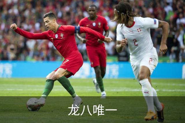 龙八唯一公司简介